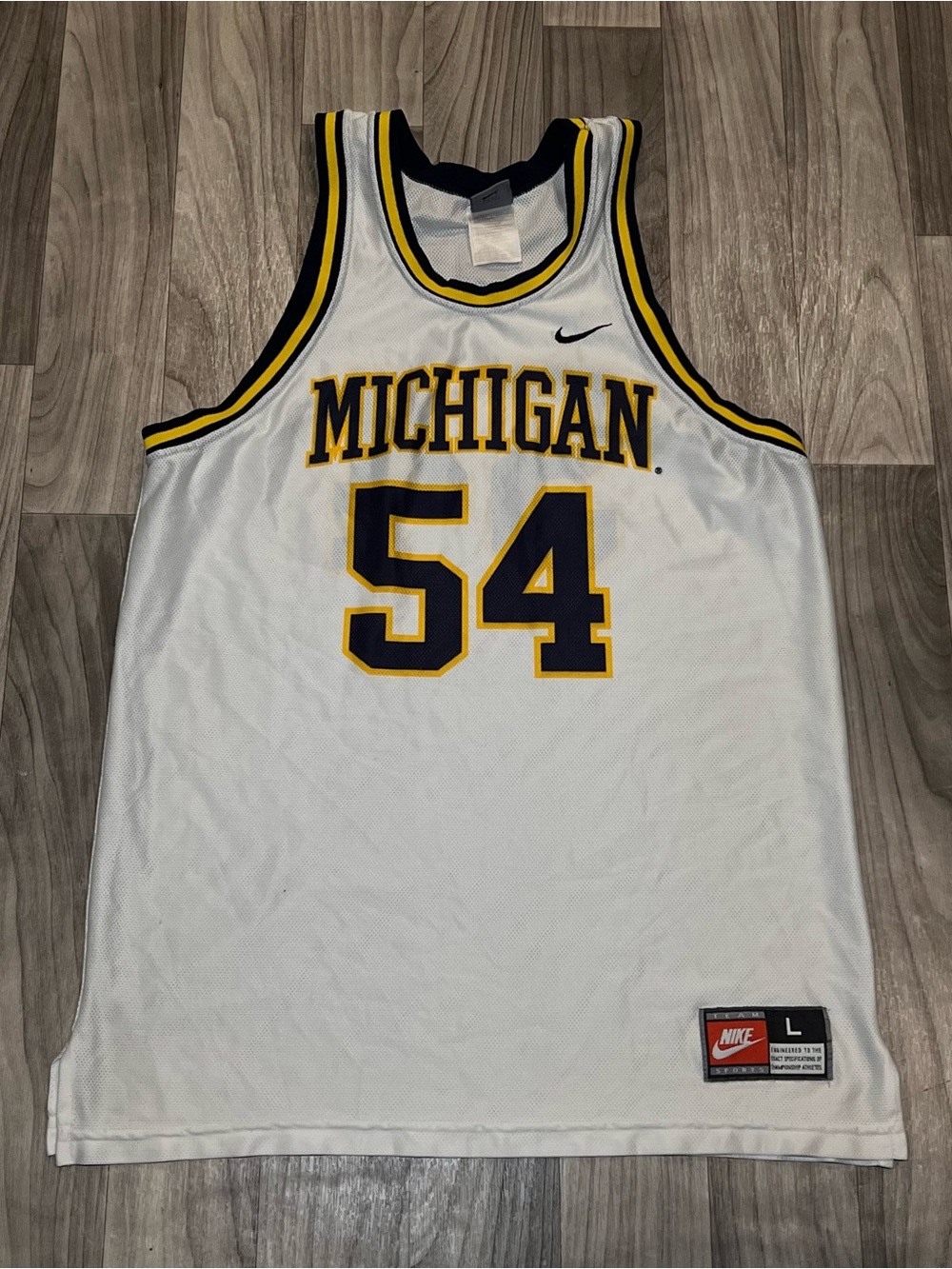SIZE LARGE NIKE MICHIGAN WOLVERINES ROBERT TRAYLOR #54 NCAA BASKETBALL JERSEY